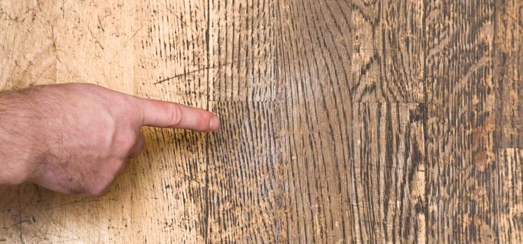 Wood Door Scratch Repair in Santa Ana
